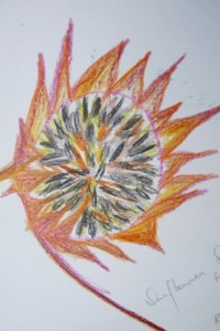 Winter 2013 to 2014 980