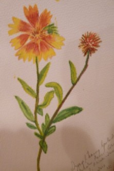 winter-2013-to-2014-700